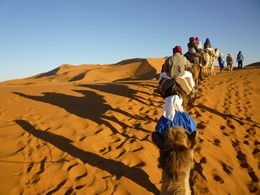 Etoile des Dunes Hotel Merzouga Riad Merzouga :  loisirs